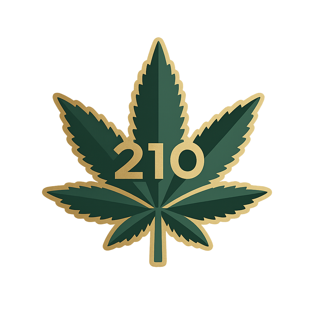 210 Double Vapes Logo